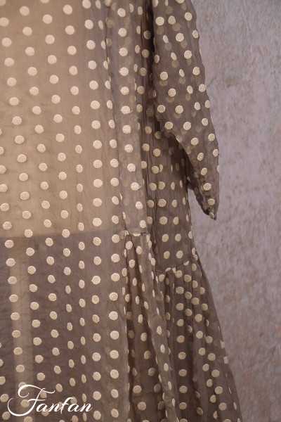 Privatsachen Dress Tragweil in silk with dots Esel